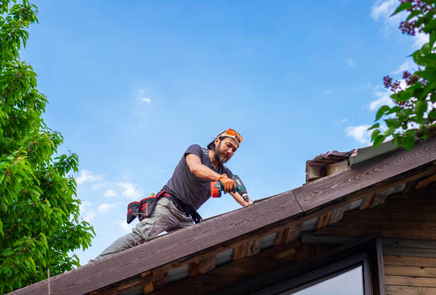 Best Gutter Installation and Repair  in Ddanelle, AR
